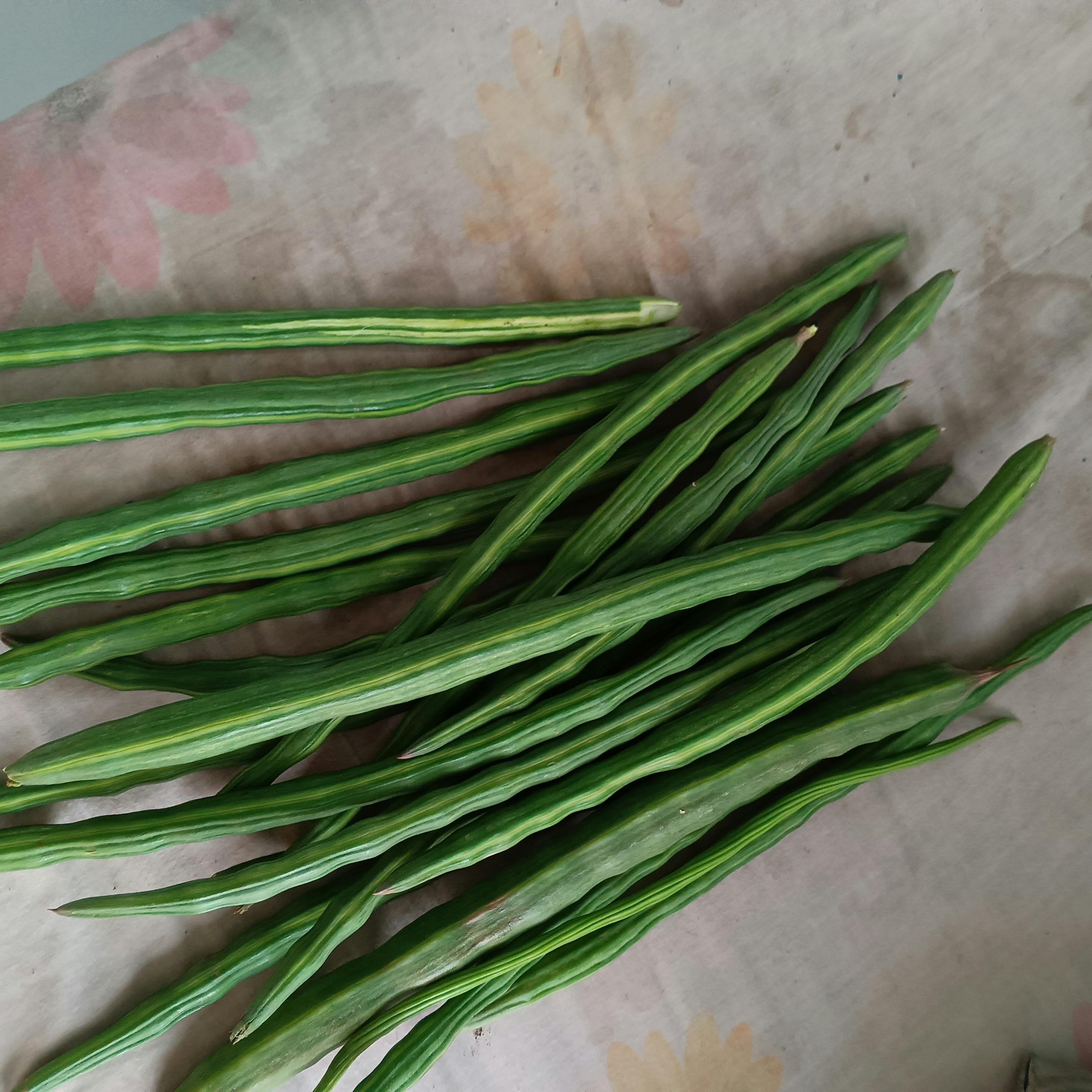 Drumstick Image